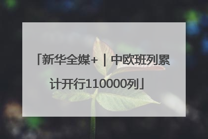 新华全媒+｜中欧班列累计开行110000列