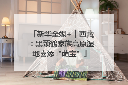 新华全媒+｜西藏：黑颈鹤家族高原湿地喜添“萌宝”