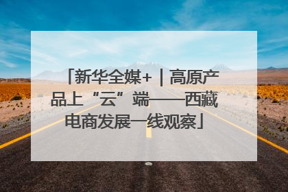新华全媒+｜高原产品上“云”端——西藏电商发展一线观察