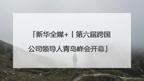 新华全媒+丨第六届跨国公司领导人青岛峰会开幕