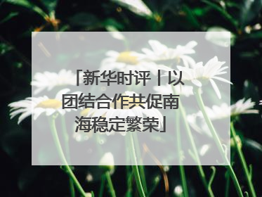新华时评丨以团结合作共促南海稳定繁荣