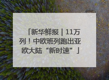 新华鲜报｜11万列！中欧班列跑出亚欧大陆“新时速”