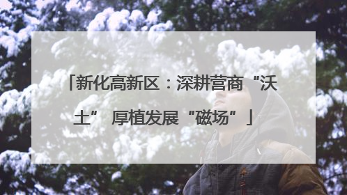 新化高新区：深耕营商“沃土” 厚植发展“磁场”