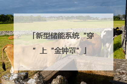新型储能系统“穿”上“金钟罩”