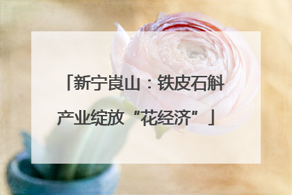 新宁崀山：铁皮石斛产业绽放“花经济”