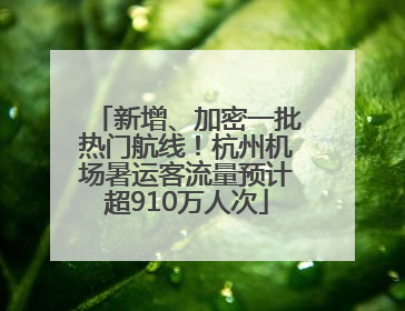 新增、加密一批热门航线！杭州机场暑运客流量预计超910万人次