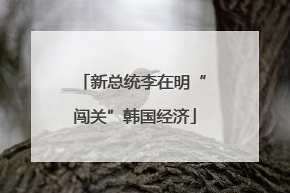 新总统李在明“闯关”韩国经济