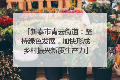 新泰市青云街道：坚持绿色发展，加快形成乡村振兴新质生产力