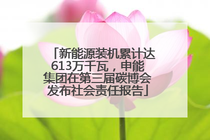 新能源装机累计达613万千瓦，申能集团在第三届碳博会发布社会责任报告