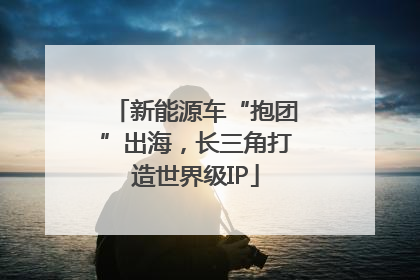 新能源车“抱团”出海，长三角打造世界级IP