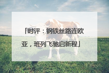 时评：钢铁丝路连欧亚，班列飞驰启新程