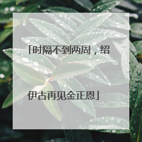 时隔不到两周，绍伊古再见金正恩