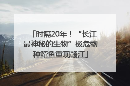 时隔20年！“长江最神秘的生物”极危物种鳤鱼重现赣江
