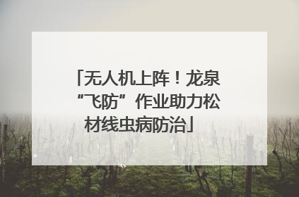 无人机上阵！龙泉“飞防”作业助力松材线虫病防治