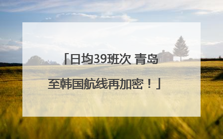 日均39班次 青岛至韩国航线再加密！