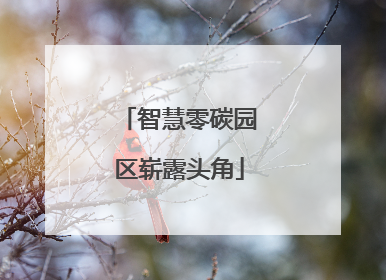智慧零碳园区崭露头角