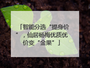 智能分选“提身价”，仙居杨梅优质优价变“金果”