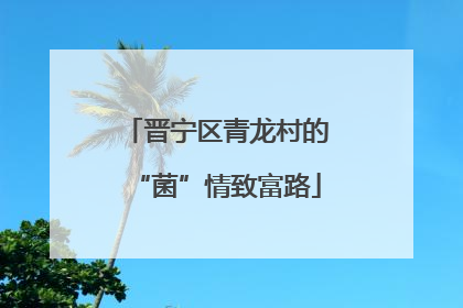 晋宁区青龙村的“菌”情致富路