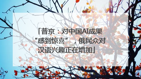 普京：对中国AI成果“感到惊喜”，俄民众对汉语兴趣正在增加