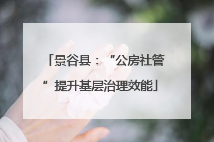 景谷县：“公房社管”提升基层治理效能