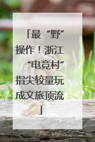 最“野”操作！浙江“电竞村”指尖较量玩成文旅顶流