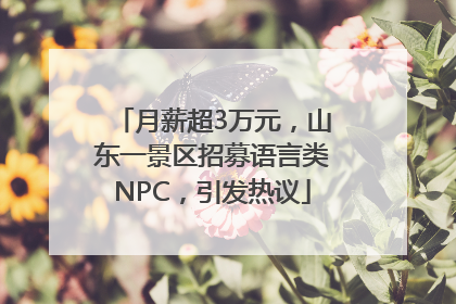 月薪超3万元，山东一景区招募语言类NPC，引发热议
