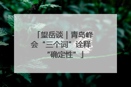 望岳谈｜青岛峰会“三个词”诠释“确定性”