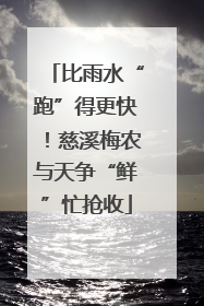 比雨水“跑”得更快！慈溪梅农与天争“鲜”忙抢收