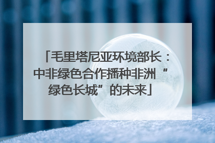 毛里塔尼亚环境部长：中非绿色合作播种非洲“绿色长城”的未来
