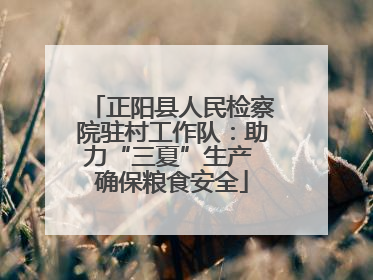 正阳县人民检察院驻村工作队：助力“三夏”生产 确保粮食安全