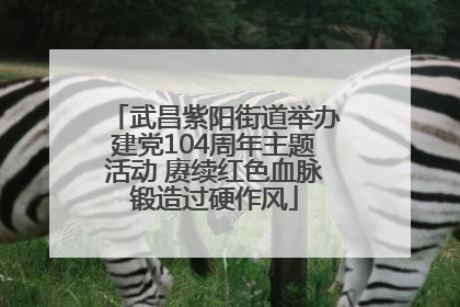 武昌紫阳街道举办建党104周年主题活动 赓续红色血脉锻造过硬作风