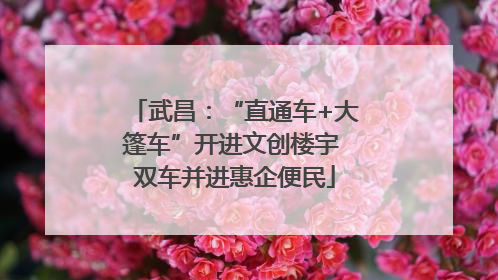 武昌：“直通车+大篷车”开进文创楼宇 双车并进惠企便民