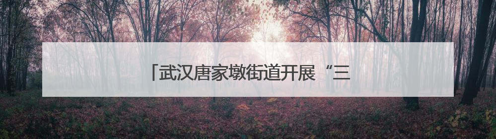 武汉唐家墩街道开展“三大精神”沉浸式宣讲活动