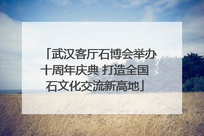 武汉客厅石博会举办十周年庆典 打造全国石文化交流新高地