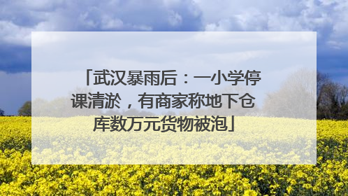 武汉暴雨后：一小学停课清淤，有商家称地下仓库数万元货物被泡