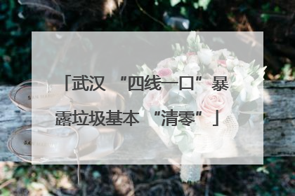 武汉 “四线一口”暴露垃圾基本 “清零”