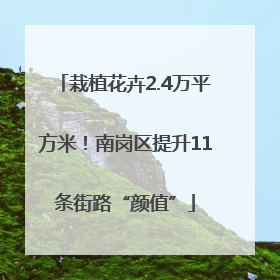 栽植花卉2.4万平方米！南岗区提升11条街路“颜值”