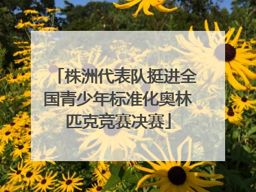 株洲代表队挺进全国青少年标准化奥林匹克竞赛决赛