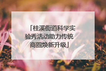 桂溪街道科学实验秀活动助力传统商圈焕新升级