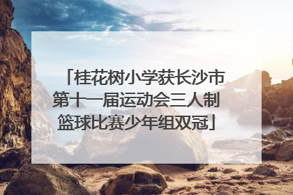 桂花树小学获长沙市第十一届运动会三人制篮球比赛少年组双冠