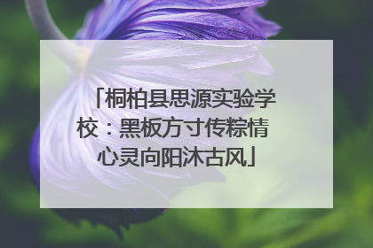 桐柏县思源实验学校：黑板方寸传粽情 心灵向阳沐古风