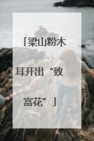 梁山粉木耳开出“致富花”