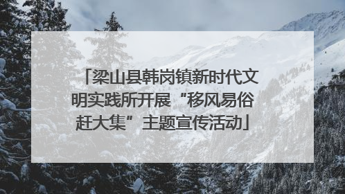 梁山县韩岗镇新时代文明实践所开展“移风易俗赶大集”主题宣传活动