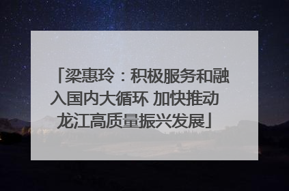 梁惠玲：积极服务和融入国内大循环 加快推动龙江高质量振兴发展