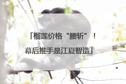 榴莲价格“腰斩”！幕后推手是江夏智造
