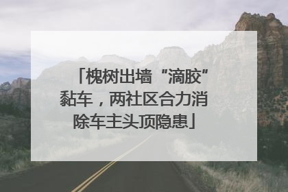 槐树出墙“滴胶”黏车，两社区合力消除车主头顶隐患