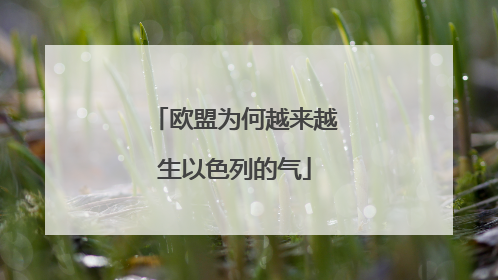 欧盟为何越来越生以色列的气