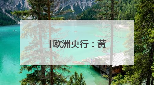 欧洲央行：黄金成全球第二大储备资产