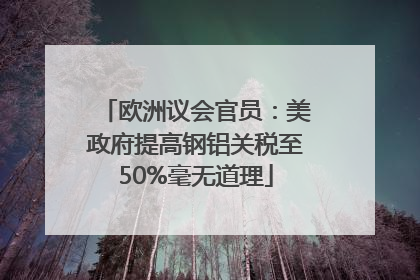 欧洲议会官员：美政府提高钢铝关税至50%毫无道理