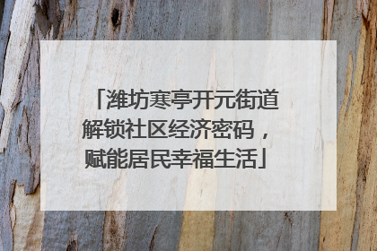 潍坊寒亭开元街道解锁社区经济密码，赋能居民幸福生活